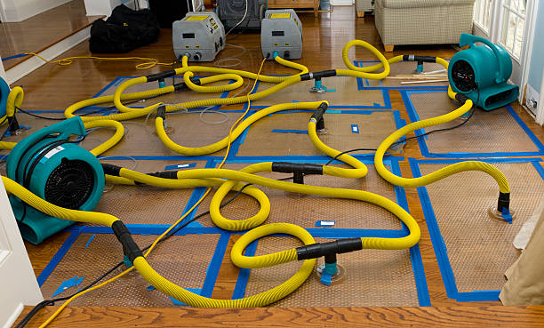 Professional Water Extraction technician working in Washington, PA